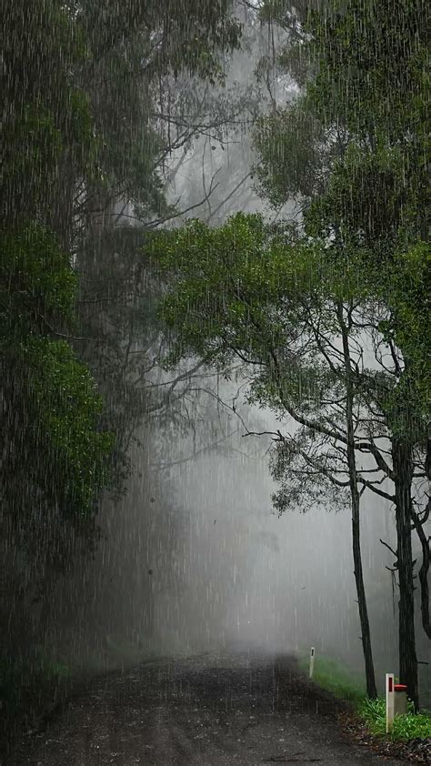 下雨天圖片|下雨图片